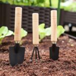 Garden Tool Set For House Plant